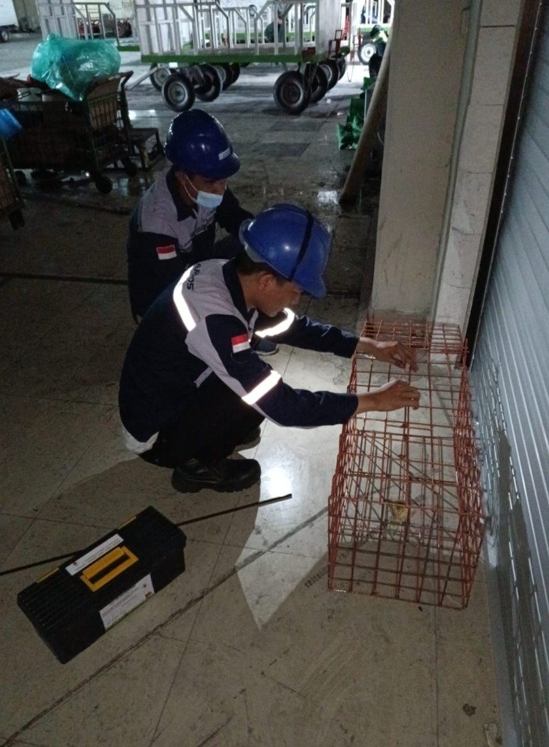 Teknisi memasang perangkap tikus di area fasilitas
